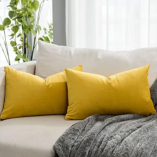 Lemon Decorative Lumbar Velvet Throw Pillow Covers 12x20 inch Set of 2 with Zipper Luxury Soft Solid Rectangle Cushion Covers Case for Sofa Couch Bed Living Room