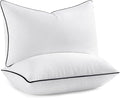 MIULEE 12x20 Pillow Inserts, Fluffy Down Alternative Filling Pack of 2 | Ultra Soft Lumbar Throw Pillows for Sofa Couch Bed,Fluffy and Structured Filling for long-lasting shaping, Pipe Design