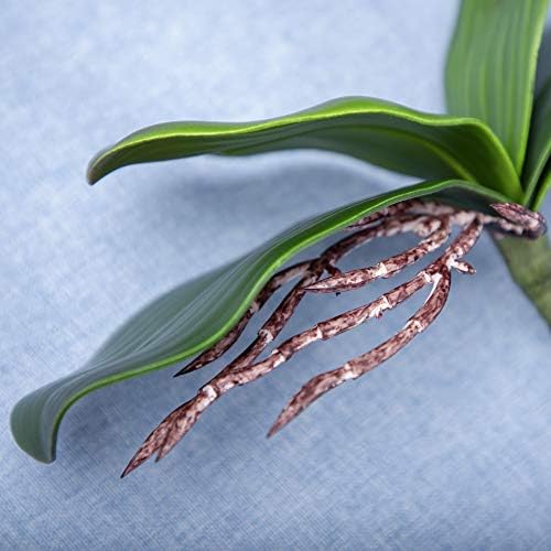 Fnize Orchid Leaves Artificial Phalaenopsis Stems Leaf Real Touch 8" 2pcs