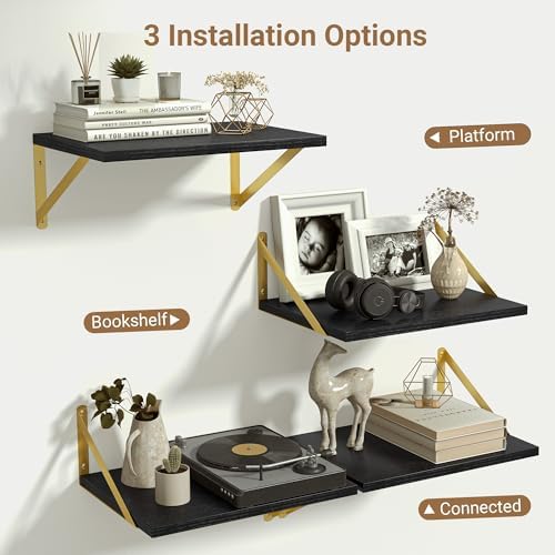 Heimlove 12 Inch Deep Black Floating Shelves，Wood Wall Shelves 16" W x 12" D Set of 2,Wall Mounted Shelves for Living Room, Bedroom, Kitchen, Bathroom,Closet and Decor Storage，Gold Bracket