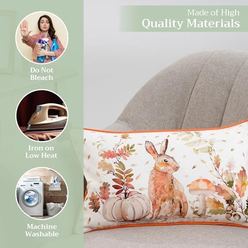 Maison d' Hermine Throw Pillow Covers 100% Cotton (12" x 20" - Pack of 1)