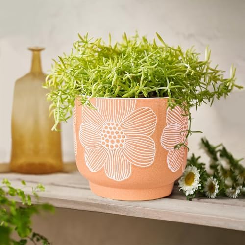 Ceramic Plant Pots, 8+6 Inch, 2 Pcs Indoor Planters with Drainage Holes