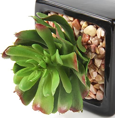 Hollyone Small Succulents Artificial 3 Pcs Faux Succulents in Pots Fake Succulent Plants with Black Ceramic Pots for Modern Home Office Desk Bathroom Shelf Living Room Decor