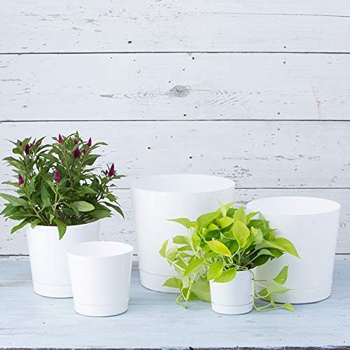 Novelty Majestic Full Depth Round Cylinder Pot, Glossy White, 6-Inch (10062)