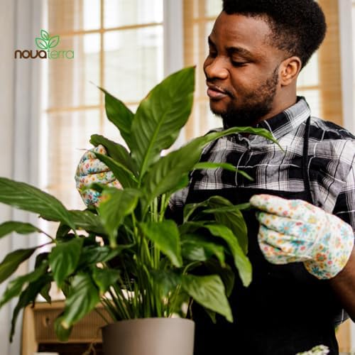 Novaterra Indoor Plant Potting Soil Mix for Houseplants, 2.4 Quarts