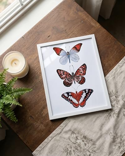 Prints Made Perfect Red Butterfly Wall Art – Watercolor Butterfly Print – Botanical Insect Nature Decor – Cottagecore Bedroom Wall Decor – 11x14 Unframed Linen Paper
