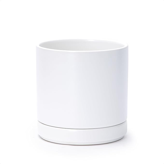 D'vine Dev 6.5 Inch Ceramic Planter Pot, White, 94-O-C-1 | Modern Cylinder Design, Drainage Hole & Saucer Included, Stable Structure, Elegant Home Accent