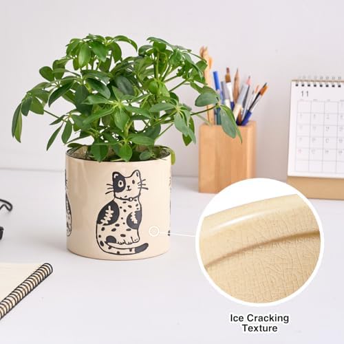 STHIE 5 Inch Ceramic Plant Pot with Drainage, Cute Planter for Indoor Plant