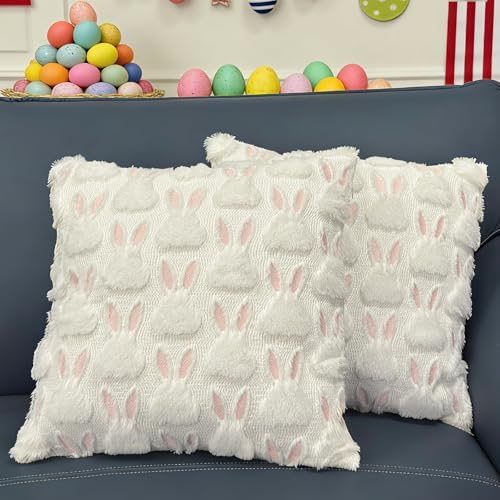 Easter Pillow CoversSet of 2, 18x18,Soft Plush,Hidden Zipper,Machine Wash