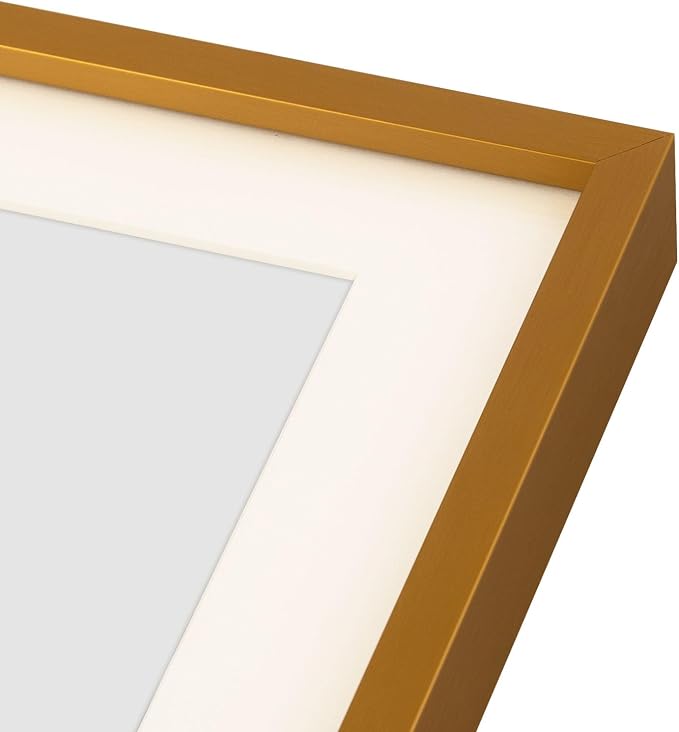 Golden State Art 12x19 Collage Frame w/Mat for 8x10 Photos Bronze 2 Pack