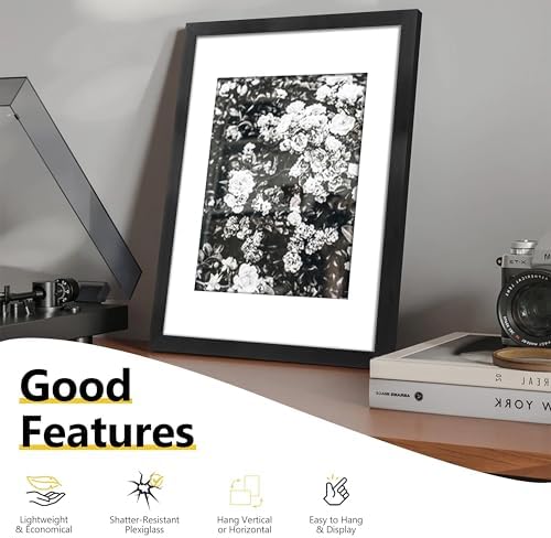 VIOLABBEY 12x16 Picture Frame Set of 5, Fit 8.5x11 Photos with Mat, Black