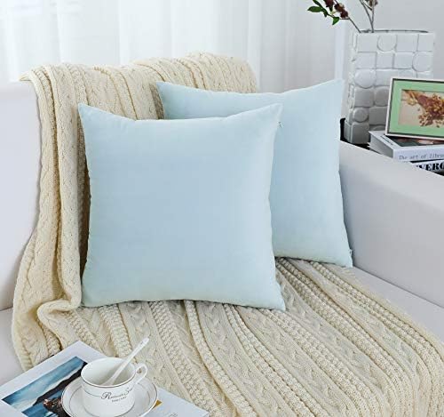 Jeneoo Comfy Soft Velvet Couch Throw Pillow Covers Decorative Solid Square Cushion Cases for Bedroom Sofa Car Decor (Baby Blue, 18 x 18 Inches, 2 Pieces)