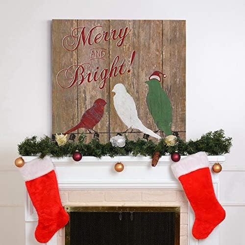 Renditions Gallery Animal Canvas Wall Art Home Paintings & Prints Merry and Bright Colorful Christmas Birds Abstract Wall Hanging Artwork for Bedroom Living Room & Kitchen Decor - 40"X40" LT05