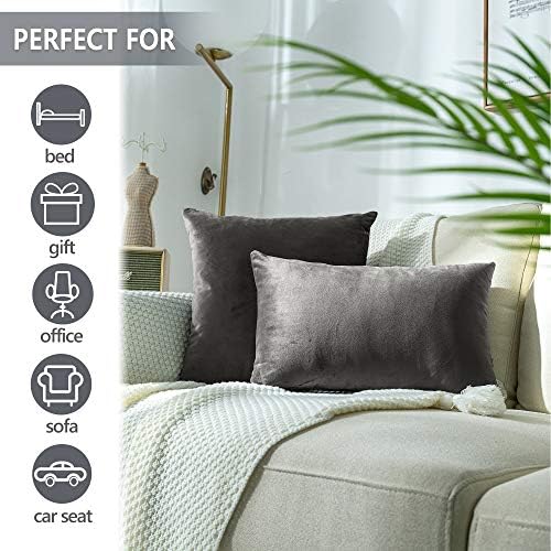 Stellhome Soft Velvet Throw Pillow Covers Square Decorative Cushion Covers for Bed Couch Sofa Bench, 18 x 18 inch (45 x 45 cm), Dark Grey, Pack of 2