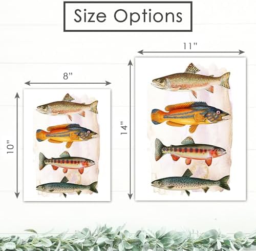 DREAM BIG PRINTABLES Four Fish Art Print - 8x10 (Unframed) | Vintage Fishing Wall Decor for Fisherman