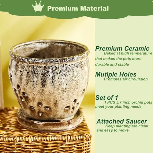 5.7 Inch Ceramic Orchid Pot with Holes Attached Saucer