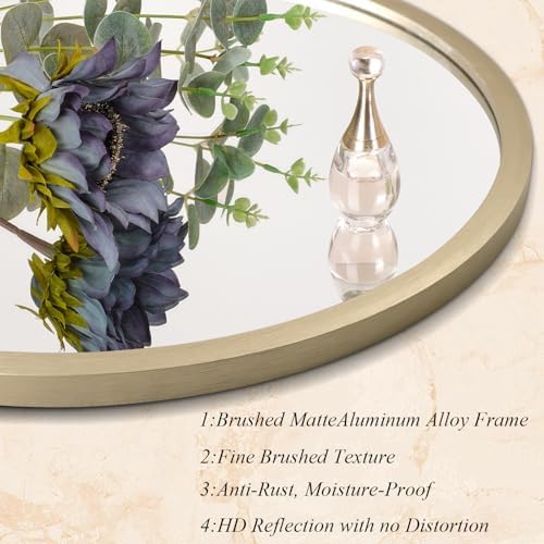 AOAOPQ Wall Mounted Mirror Round Hanging Mirror Hanging for Bedroom Living Room Dressing Tempered Glass Aluminum Metal Brushed Frame Mirror 16 inch Bronze