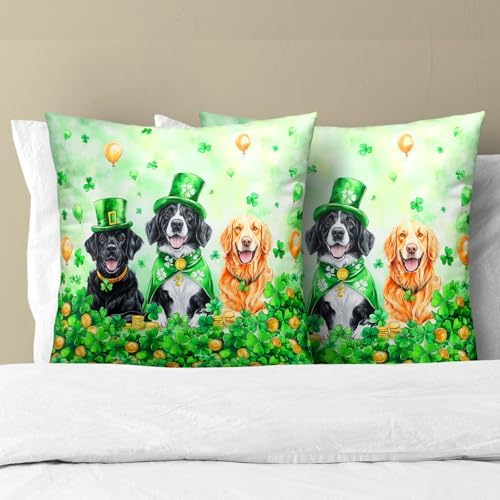 St. Patrick's Day Pillow Covers 2 Pack 24x24 inch Leprechaun Hat Dog Cotton Pillowcase Shamrock and Gold Coin Happy Holiday Throw Pillow Cases Irish Green Decorative Cushion Covers for Sofa Couch