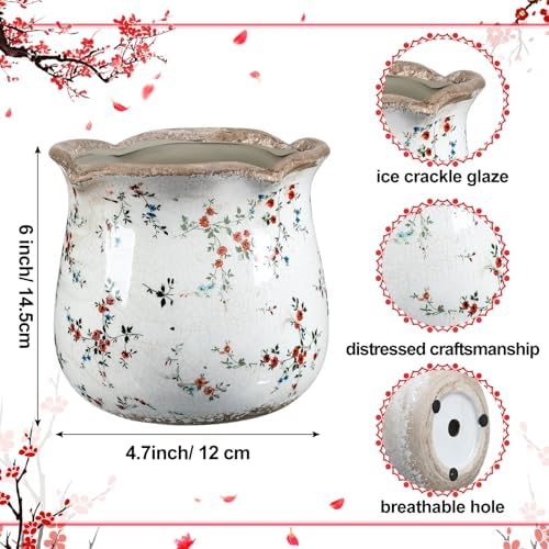 Newtay 6 Inch Vintage Ceramic Planters Crackle Glaze,Cute