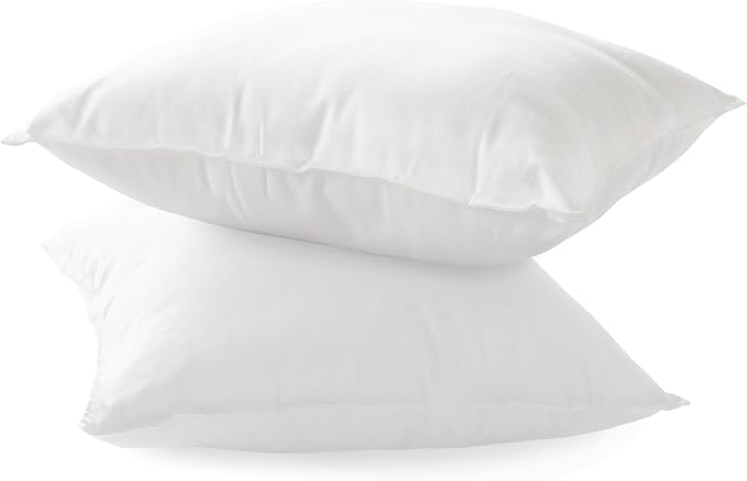 Elegant Comfort Set of 2 Throw Pillow Inserts with Poly-Cotton Shell Siliconized Fiber Filling - Sofa Bed and Couch Pillows - Indoor Decorative Pillows 22 x 22 Inch, Pack of 2