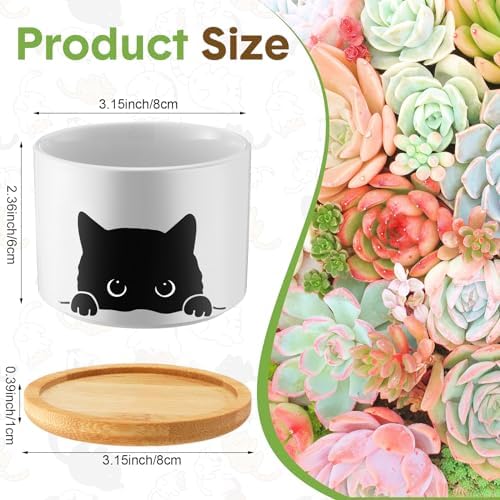 Honeydak Funny Succulent Black Cat Plant Pots 3.15 Inch Ceramic Flower Pots With Bamboo Tray, Drainage Hole - Cute Birthday Gifts for Women, Housewarming Gift
