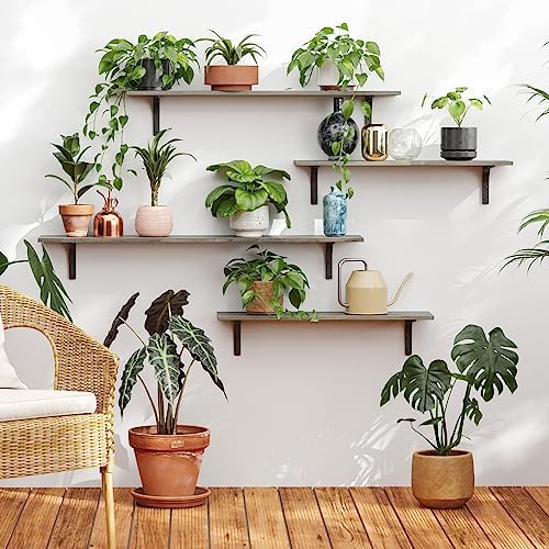 DINZI LVJ Long Wall Shelves, 47.3Inch Wooden Wall Mounted Shelves, Set of 2