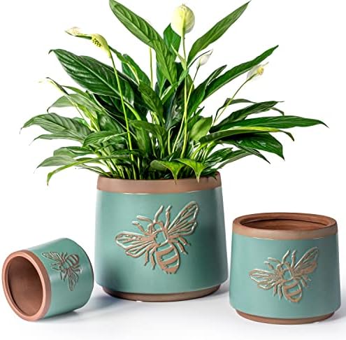 Terracotta Pots, 8+6+4 Inch Plant Pots, 3 Pcs with Drainage Holes