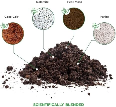 Novaterra Indoor Plant Potting Soil Mix for Houseplants, 2.4 Quarts