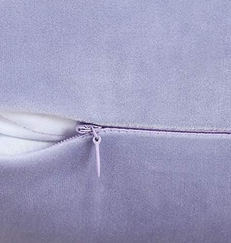 Jeneoo Set of 2 Comfy Soft Velvet Throw Pillow Covers for Sofa Couch, Decorative Solid Square Cushion Cases for Bedroom Car (18 x 18 Inches, Lavender Blue)