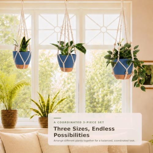 3 Set Self Watering Hanging Planter for Indoor Plants Macrame Plant Hangers