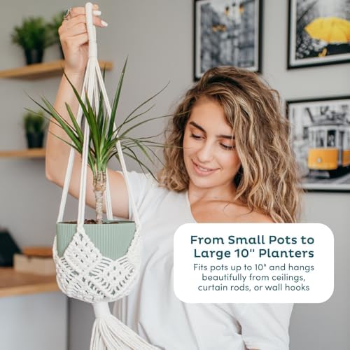 Nook Theory 4-Pack Macrame Plant Hangers with 8 Hooks - Hanging Planters for Indoor Plants, Boho Macrame Hangers Indoor Outdoor, Decorative Plant Hanger Indoor (Black)