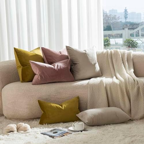 JUSPURBET 16x24 Lumbar Velvet Throw Pillow Covers Set of 2,Cloud
