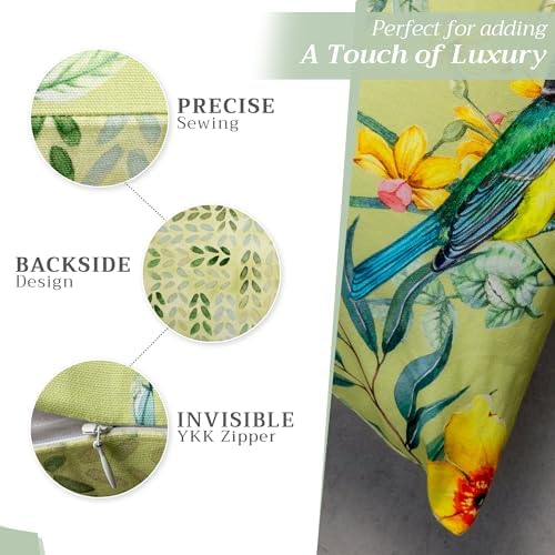 Maison d' Hermine Throw Pillow Covers 100% Cotton (18" x 18" - Pack of 1)