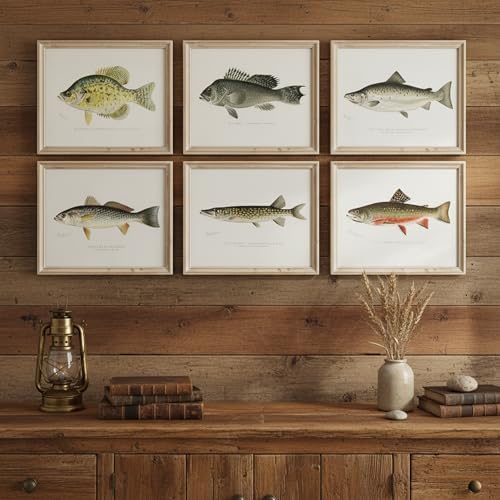 DREAM BIG PRINTABLES Vintage Fish Species Art Prints (Set of 6) - Unframed - 11x14 | Fishing Wall Decor for Fisherman