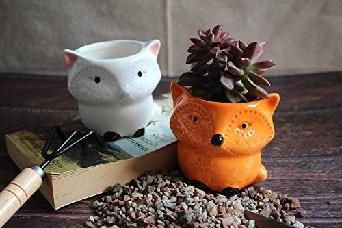 Cute Fox Gifts Animal Succulent Planters 2 Pack Ceramic Flower Pots with Drainage Hole, Office Décor
