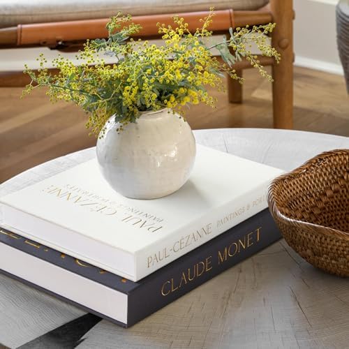 Aesthetic Decorative Books - Coffee Table Books Decor - Faux Decor Book Storage Box for Decoration - Set of 2 Linen Fake Book for Home Table Decors - Photo Storage Keepsake Box