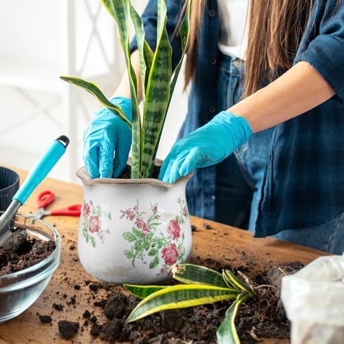 Newtay 6 Inch Vintage Ceramic Planters Crackle Glaze,Classic