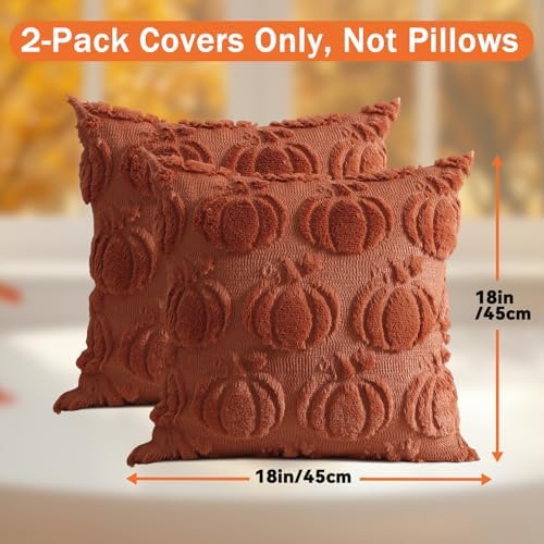 Coddsmz Fall Pumpkin Throw Pillow Covers 18x18 Inches 2PCS Halloween Decor