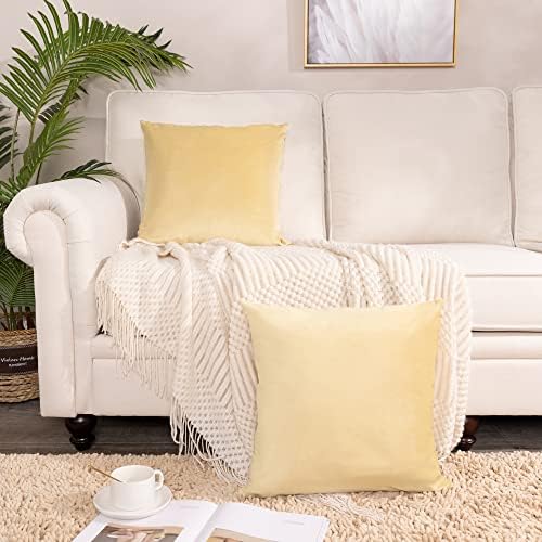 Stellhome Pack of 2 Velvet Pillow Covers Square Decorative Cushion Covers for Bed Couch Sofa Bench, 22 x 22 inch (55 x 55 cm), Light Gold