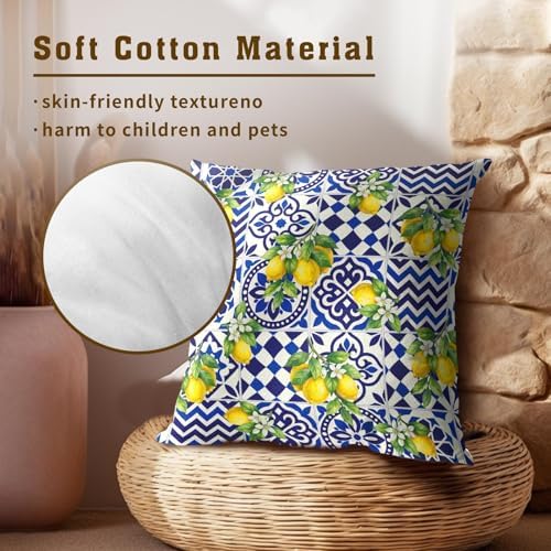 Lemon Mexican Tilt Pillow Covers 16x16 Inch Set of 2 Lemon Decor Italian Gifts Throw Pillow Cases Spring Summer Party Holiday Decorative Cushion Covers for Couch Bed Sofa Home Decor
