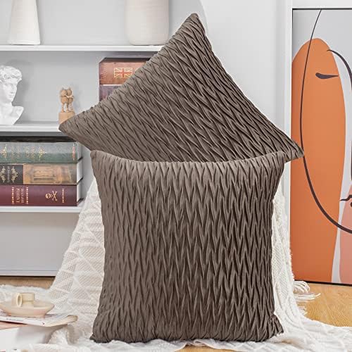 MADIZZ Set of 2 Super Soft Velvet Decorative Throw Pillow Covers 24x24 inch Brown Square with Texture Luxury Style Cushion Case European Pillow Shell for Sofa Bedroom