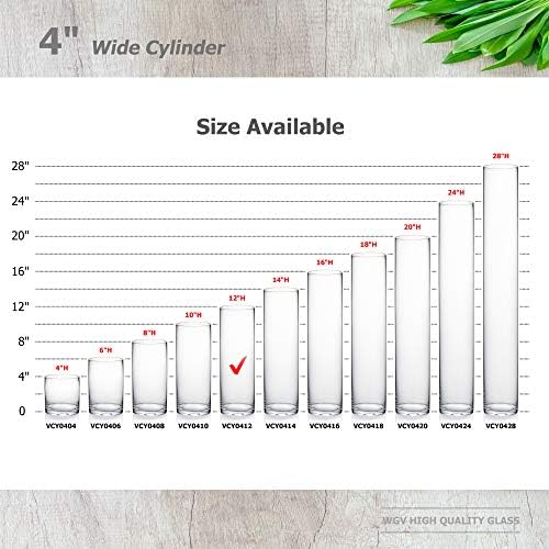 WGVI Quality Thick Weighted Clear Cylinder Glass Vases, 4" W x 12" H, Flower Arrangement Floating Candle Holders Wedding Centerpiece Terrarium Planter Floral Storage Container, Bulk Wholesale, 12 Pcs