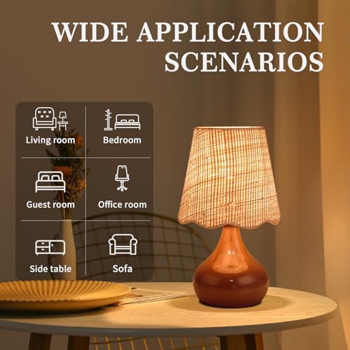 Ziqqeelam Brown Small Bedside Table Lamp for Bedroom, Farmhouse Bedroom Lamps for Nightstand, Rattan Lamp Shade Table Lamps for Small Spaces for Kitchen Counter, Home Office, Living Room, Kids Dorm