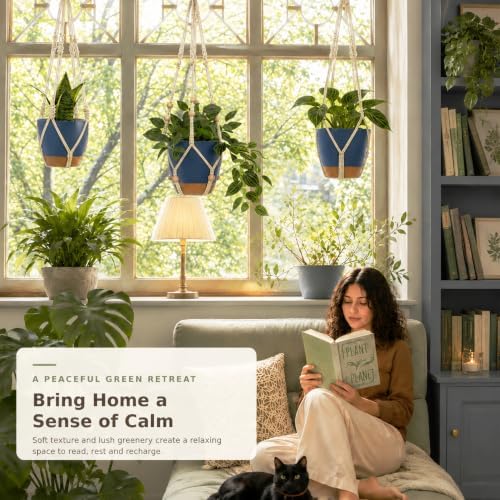 3 Set Self Watering Hanging Planter for Indoor Plants Macrame Plant Hangers