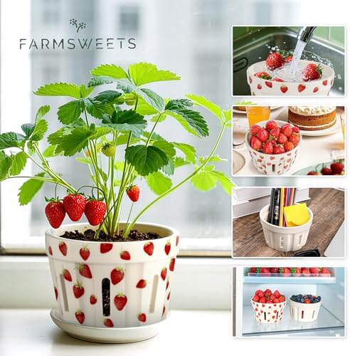 Ceramic Berry Basket, Set of 4, Ceramic Fruit Basket, Strawberry Baskets