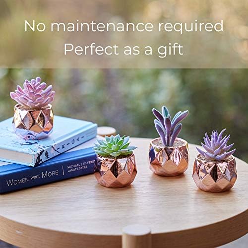 Nordik Faux Succulents -Rose Gold Ceramic Desk Plants for Office - Set of 4