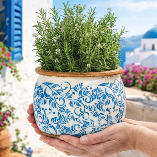 Vintage Ceramic Flower Pot, 6.5 & 9in, with Drainage & Filter