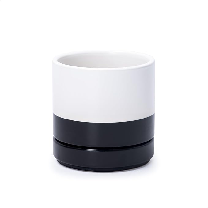 D'vine Dev 4.7 Inch Ceramic Planter Pot, Black White Two Tone, 94-O-B-L | Modern Cylinder Design, Drainage Hole & Saucer Included, Stable Structure, Elegant Home Accent