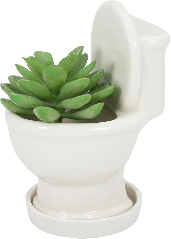 Gemseek Cute Ceramic Toilet Bowl Succulent Planter Pot with Drainage Tray