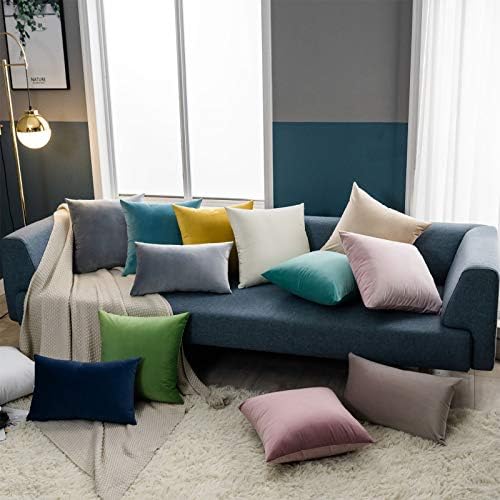 JUSPURBET Decorative Velvet Throw Pillow Covers 20x20 Set of 2,Silver Gray